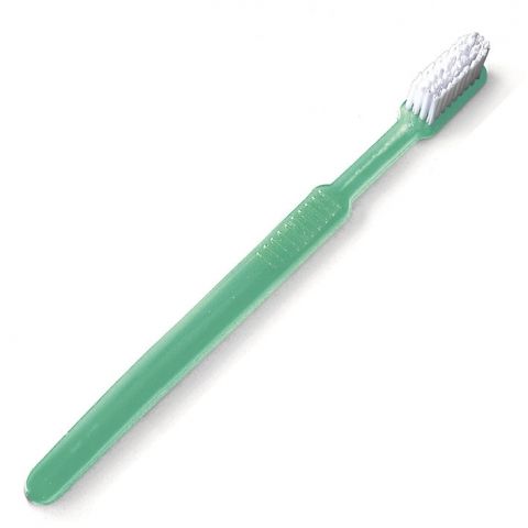 Wegwerp tandenborstels met tandpasta Groen 100 stuks