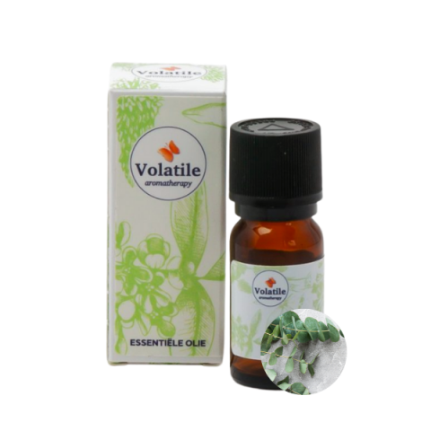 Volatile etherische olie Eucalyptus Wild 10ml